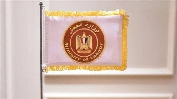 وظائف جديدة بالقطاع الخاص في الجيزة.. التخصصات والأوراق المطلوبة وظائف جديدة بالقطاع الخاص في الجيزة.. التخصصات والأوراق المطلوبة
