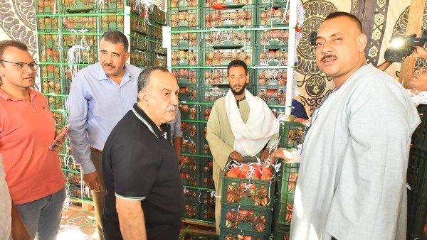 محافظ أسيوط يتابع منظومة تجهيز وتصدير