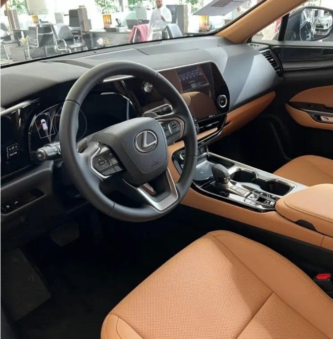 dd1ea11163.jpg