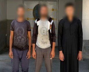 ضبط 3 أشخاص اعتدوا على «كلب» باستخدام عصا في الدقهلية ضبط 3 أشخاص اعتدوا على «كلب» باستخدام عصا في الدقهلية