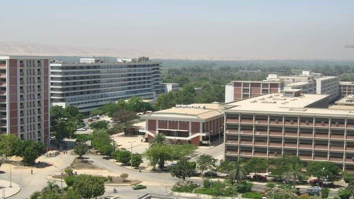 قسم طب المناطق الحارة بجامعة أسيوط ينظم ورش عمل متخصصة ..غدا قسم طب المناطق الحارة بجامعة أسيوط ينظم ورش عمل متخصصة ..غدا
