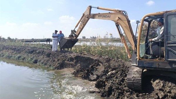 بورسعيد: إزالة 10 مزارع سمكية مخالفة على أرض زراعية بمساحة 50 فدانا بورسعيد: إزالة 10 مزارع سمكية مخالفة على أرض زراعية بمساحة 50 فدانا