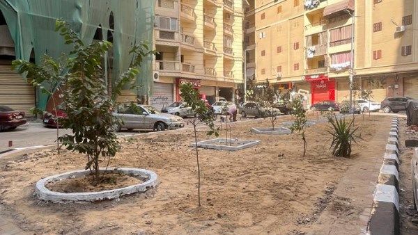 بالصور.. تطوير وتشجير وإنارة 8 ميادين رئيسية بالبحيرة بالصور.. تطوير وتشجير وإنارة 8 ميادين رئيسية بالبحيرة