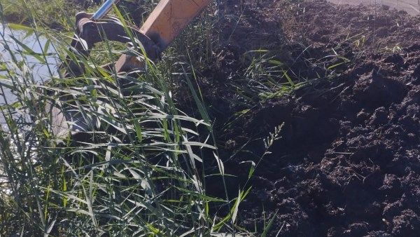 إزالة 5 مزارع سمكية مخالفة على أراضي الدولة بمساحة 100 فدان بمنطقة الشلاتيات جنوب بورسعيد إزالة 5 مزارع سمكية مخالفة على أراضي الدولة بمساحة 100 فدان بمنطقة الشلاتيات جنوب بورسعيد