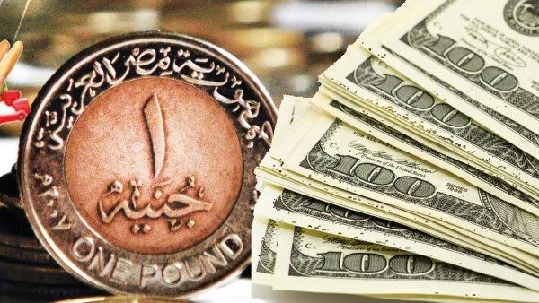 استقرار سعر الدولار اليوم في مصر في ختام التعاملات