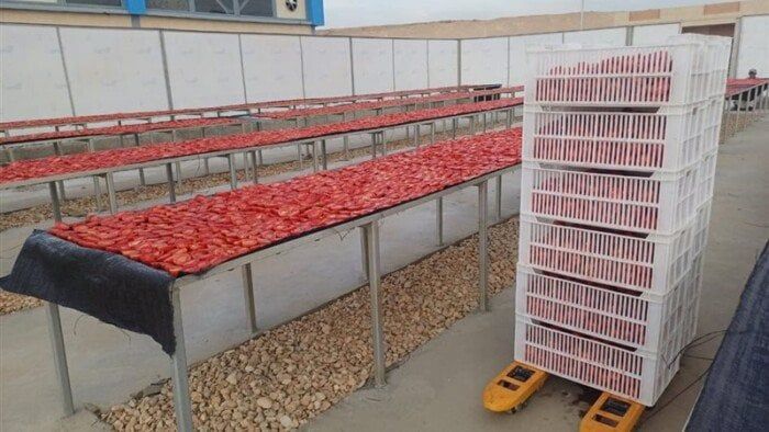 «تنمية الصعيد» و«أفرولاند للتنمية» تطلقان مجمعا للصناعات الغذائية بالظهير الصحرواي بـ الأقصر «تنمية الصعيد» و«أفرولاند للتنمية» تطلقان مجمعا للصناعات الغذائية بالظهير الصحرواي بـ الأقصر