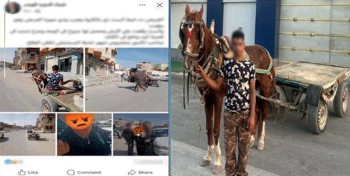 صدمها وهرب.. القبض على سائق عربة «كارو» اصطدم بسيدة في شمال سيناء صدمها وهرب.. القبض على سائق عربة «كارو» اصطدم بسيدة في شمال سيناء