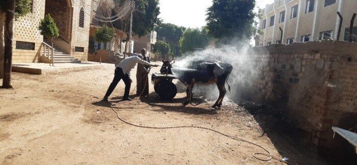 قوافل بيطرية تجوب قرى أسيوط خلال أكتوبر وتعالج نحو 3 آلاف رأس ماشية قوافل بيطرية تجوب قرى أسيوط خلال أكتوبر وتعالج نحو 3 آلاف رأس ماشية