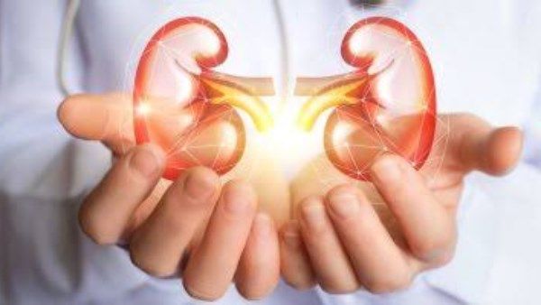 مشروبات طبيعية تساهم في تعزيز صحة الكلى