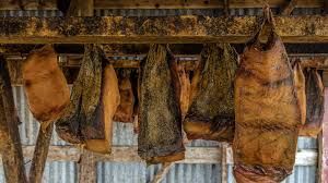 ‪What is Hákarl and how to taste it‬‏