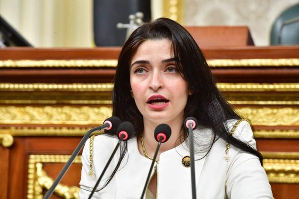 أجور عادلة وتنظيم المهن الطبية أبرزها.. ملفات عالقة تنتظر برلمان 2025 - الفجر سبورت