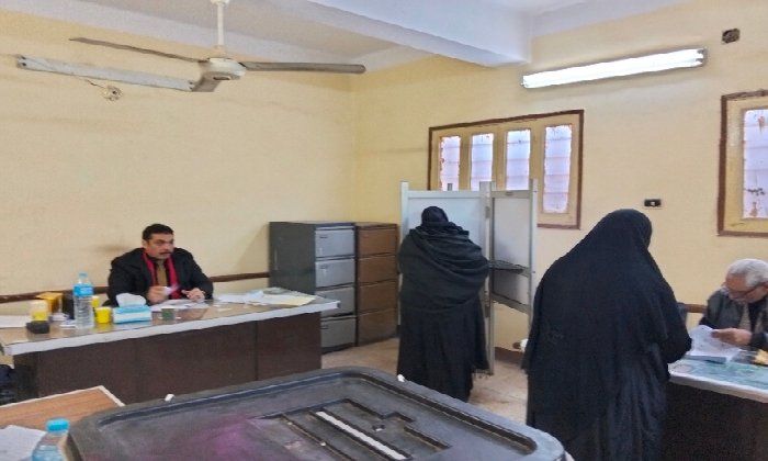 إقبال ملحوظ للسيدات على لجان جولة الإعادة لانتخابات مجلس النواب بالأقصر - الفجر سبورت