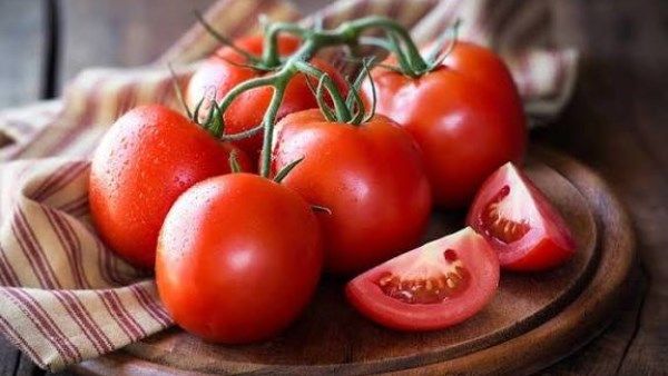 ارتفاع مرتقب في أسعار الطماطم حتى رمضان.. نقيب الفلاحين يحذر - الفجر سبورت