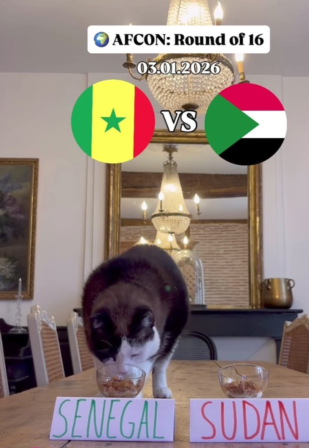 ملك التوقعات نيمبوس يتوقع انتصارات السنغال ومالي في ثمن نهائي أمم أفريقيا - الفجر سبورت