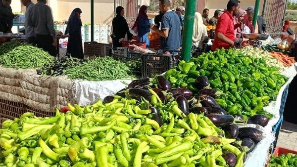 أسعار الخضراوات والفاكهة اليوم السبت 3-1-2026 - الفجر سبورت