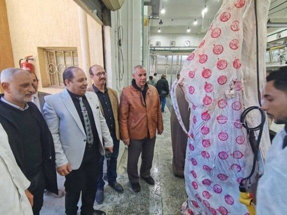 بدء التشغيل التجريبي لمجزر السنبلاوين النصف آلي بالدقهلية - الفجر سبورت