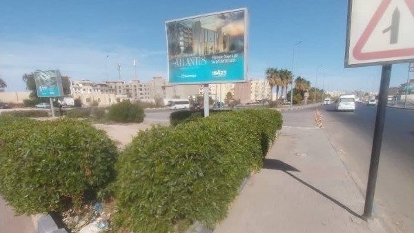 رئاسة حي جنوب الغردقة : قص وتهذيب أشجار "الكيموكاربس" بطريق المطار - الفجر سبورت