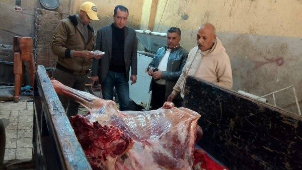 محافظ المنوفية: ضبط سلخانة مخالفة بمنوف - الفجر سبورت