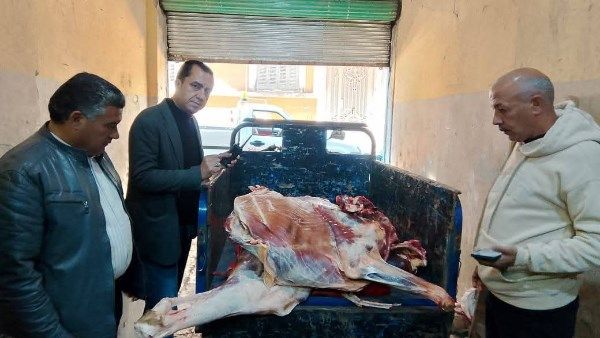ضبط سلخانة غير مرخصة ولحوم فاسدة في المنوفية - الفجر سبورت