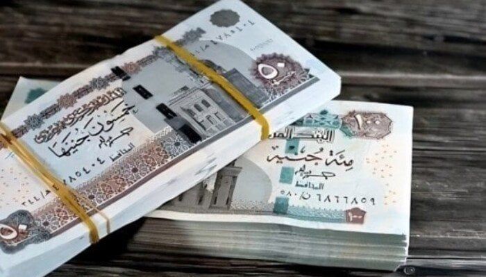 موعد صرف مرتبات شهر يناير لجميع العاملين بالدولة - الفجر سبورت