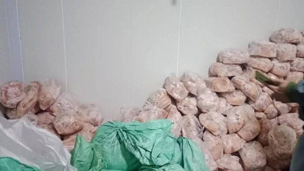 ضبط 300 كيلو بانيه دجاج مجهول المصدر في حملة تموينية بشبين القناطر - الفجر سبورت