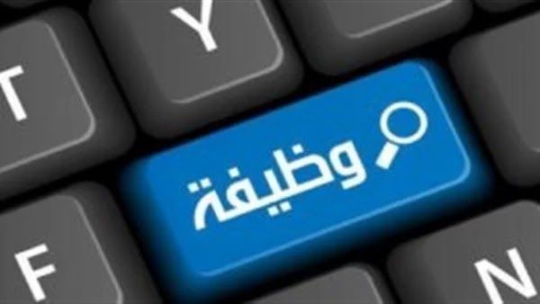 وظائف خالية برواتب تصل إلى 75 ألف جنيه للشباب - الفجر سبورت