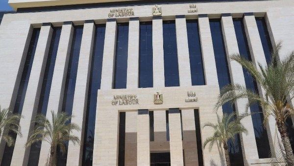 80 فرصة عمل للسيدات بمحافظة الجيزة - الفجر سبورت