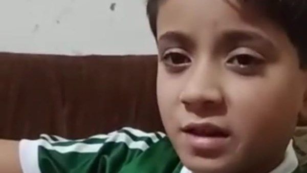 أكل جزءا من ذراع طالب .. بورسعيد تسجل ثالث حالة عقر كلاب ضالة