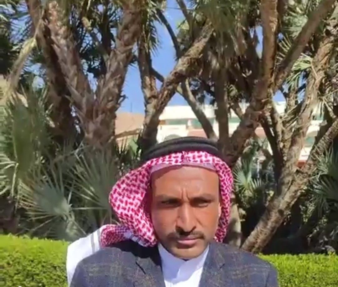 أشجار الدوم في سيناء.. ذاكرة الأرض وشاهد السيادة - الفجر سبورت