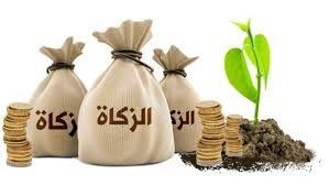 كيف يمكن احتساب قيمة زكاة المال؟.. أمين الإفتاء يجيب - الفجر سبورت