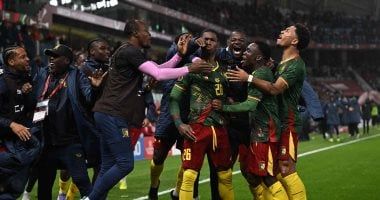 الكاميرون تهزم جنوب أفريقيا وتواجه المغرب فى ربع نهائى أمم أفريقيا.. فيديو - الفجر سبورت