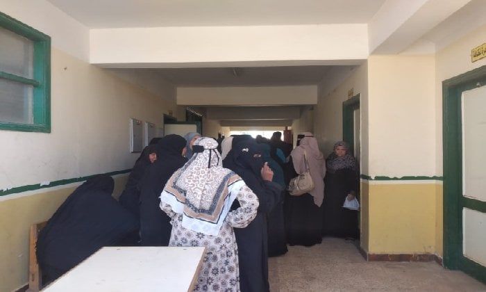 السيدات تتصدرن لجان الاقتراع بأسوان في إعادة انتخابات النواب - الفجر سبورت