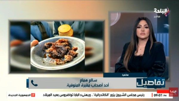 صاحب مقبرة النحل بالمنوفية: مذاق العسل مميز وليس له مثيل - الفجر سبورت