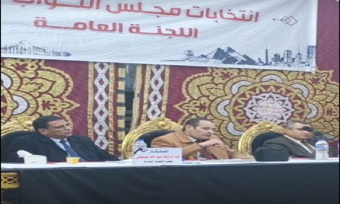الحصر العددي.. تقدم بلتاجي ومرشد في دائرة كوم حمادة بالبحيرة - الفجر سبورت