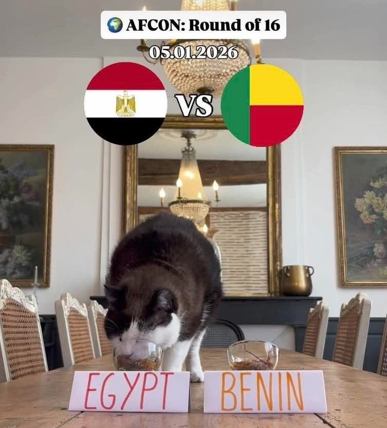 القط نيمبوس يتوقع فوز مصر على بنين في ثمن نهائي أمم أفريقيا - الفجر سبورت