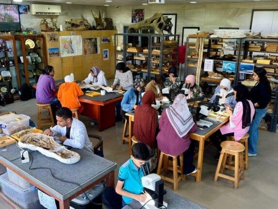 إنجازات عالمية لمركز الحفريات الفقارية بجامعة المنصورة خلال 2025 - الفجر سبورت