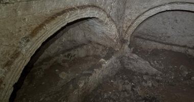 نقوش بارزة لماعز برى عثر عليها فى مقبرة دفن مقببة عمرها 1800 عام فى تركيا - الفجر سبورت