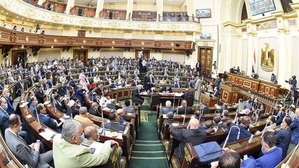 سحر طلعت مصطفى: مشاكل المواطن على رأس أولويات البرلمان الجديد - الفجر سبورت