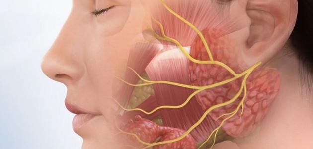 بعد إعلان لقاء سويدان إصابتها بشلل الوجه.. اكتشف أعراض العصب السابع - الفجر سبورت