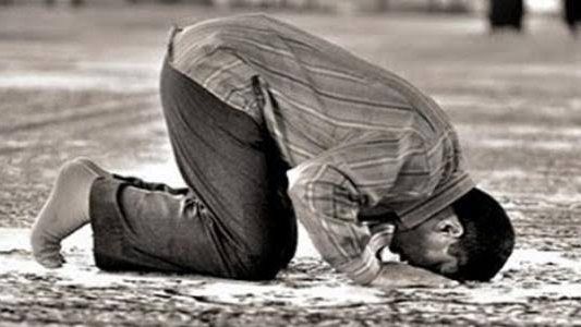 حكم من نسي سجدة في الصلاة ولم يتذكر إلا بعد التسليم .. عطية لاشين يوضح - الفجر سبورت