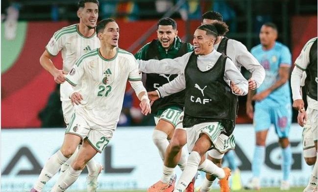 موعد مباراة الجزائر ضد نيجيريا في دور ربع نهائي كأس الأمم الإفريقية - الفجر سبورت