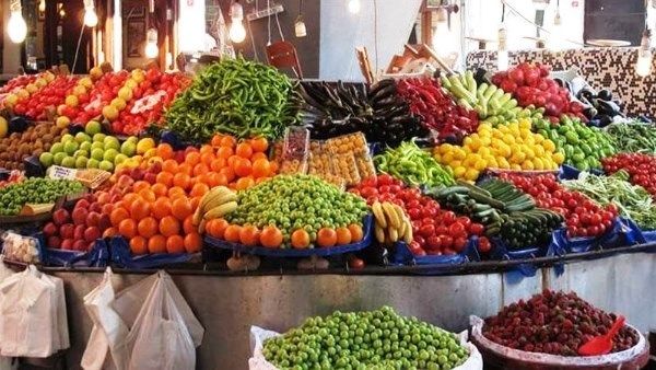 محافظ أسوان يوزع كروت تهنئة الرئيس والهدايا على الأطفال بمختلف الكنائس| شاهد - الفجر سبورت