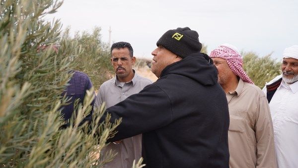 تدريبات ميدانية لمزارعي مطروح على طرق التسميد للزراعات البستانية تحت النظام المطري - الفجر سبورت
