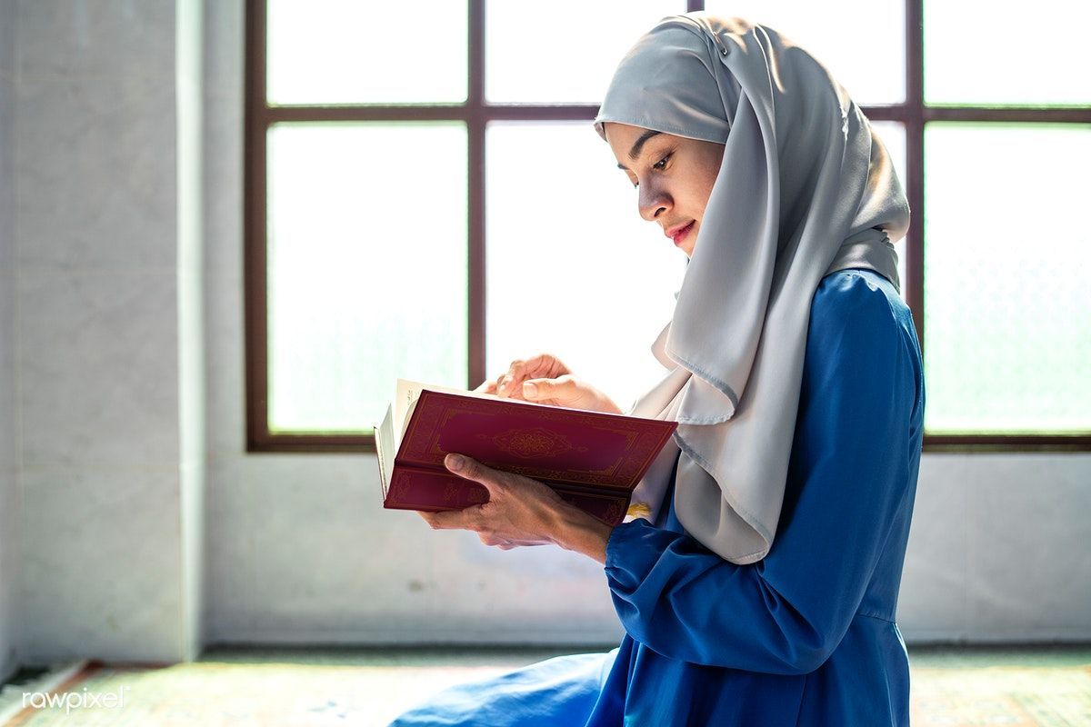 هل الخمار أفضل أم النقاب؟.. أمين الفتوى يجيب - الفجر سبورت
