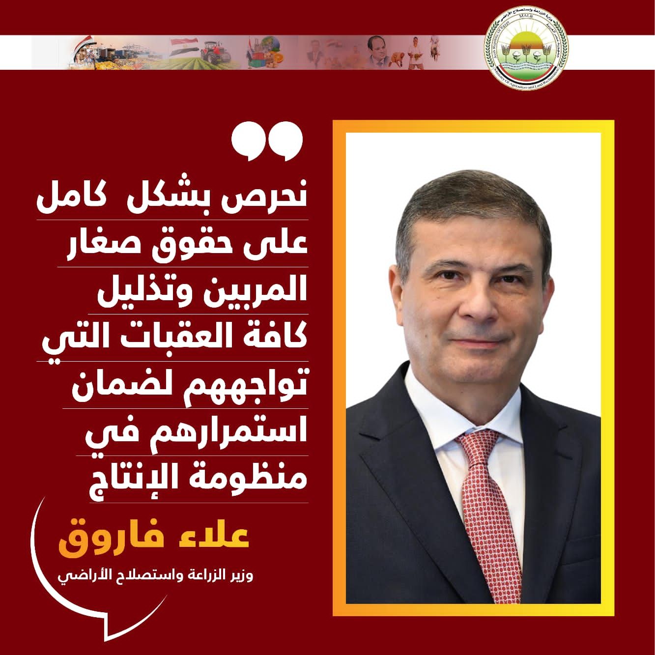 بعد ارتفاعها.. إجراءات حكومية عاجلة لضبط أسعار الدواجن بالأسواق - الفجر سبورت
