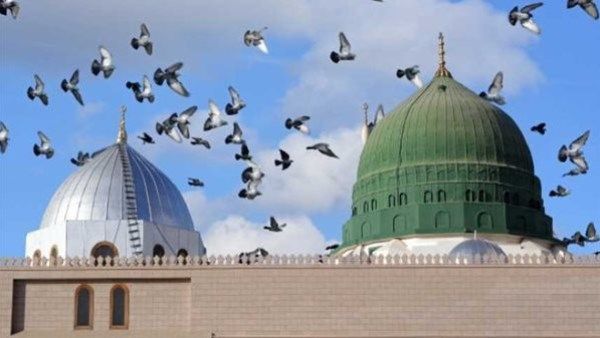 أحمد الطلحي: الصلاة على النبي صلى الله عليه وسلم بركة وزيادة وتطهير للقلوب من العيوب - الفجر سبورت
