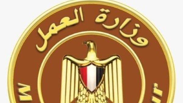 تحرير 427 محضر مخالفة قانون العمل.. ومهلة لـ739 منشأة لتصحيح أوضاع - الفجر سبورت