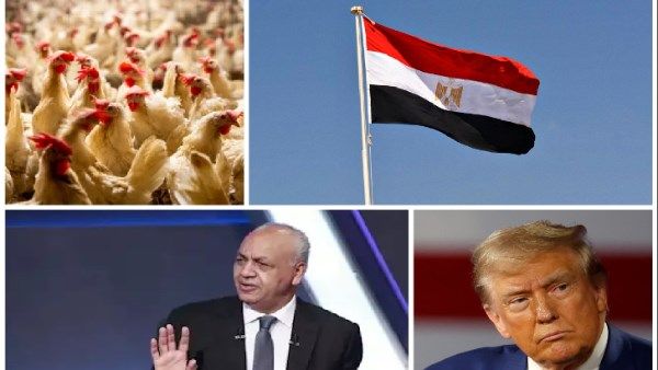 مصطفى بكري: مصر والسعودية صماما أمان الأمة العربية.. تحرك عاجل من وزارة الزراعة لضبط أسعار الدواجن بالأسواق| أخبار التوك شو - الفجر سبورت
