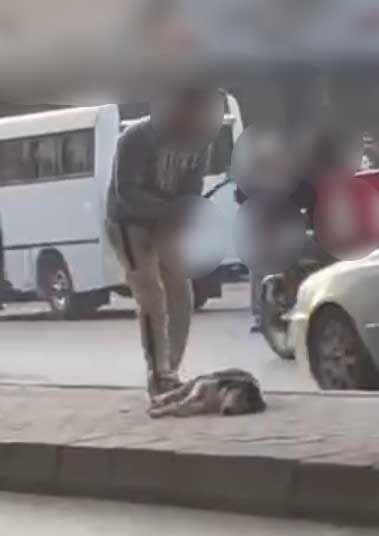 القبض على حارس عقار تعدى على كلب بعصا خشبية في العجوزة - الفجر سبورت