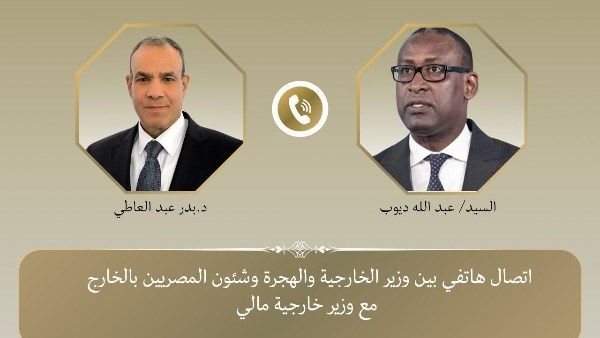 مصر ومالي تؤكدان دعم مكافحة الإرهاب وتعزيز الشراكة التنموية - الفجر سبورت